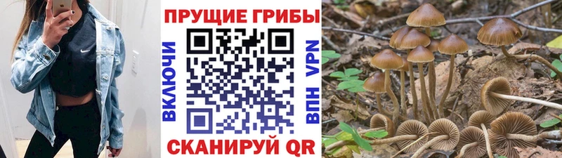 Галлюциногенные грибы мухоморы  дарнет шоп  Оленегорск 